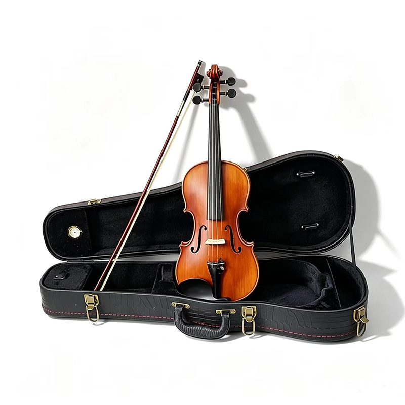 Custodia per violino 4/4 in le - Woodworking Usa recensione e prezzo